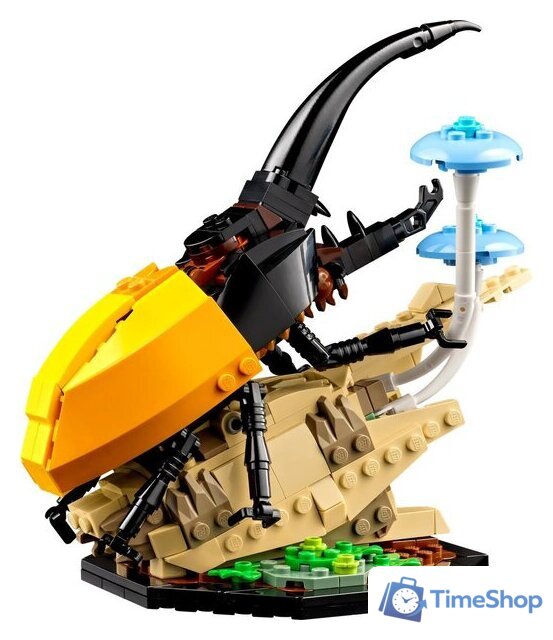 Конструктор LEGO Ideas 21342 Коллекция насекомых - Изображение №4 — Интернет-магазин Time-Shop