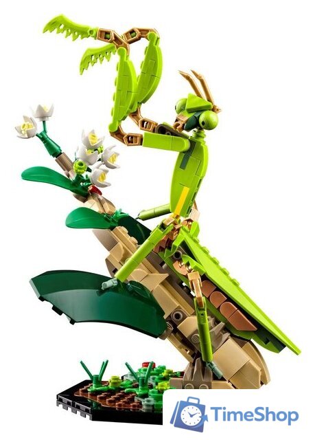 Конструктор LEGO Ideas 21342 Коллекция насекомых - Изображение №3 — Интернет-магазин Time-Shop