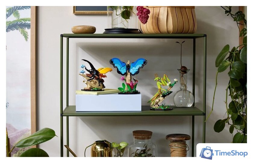 Конструктор LEGO Ideas 21342 Коллекция насекомых - Изображение №5 — Интернет-магазин Time-Shop