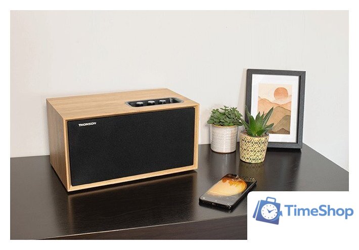 Беспроводная колонка Thomson WS502 - Изображение №5 — Интернет-магазин Time-Shop