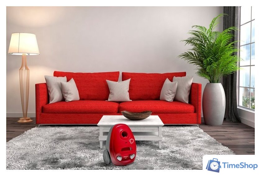 Пылесос Concept VP8350 - Изображение №8 — Интернет-магазин Time-Shop