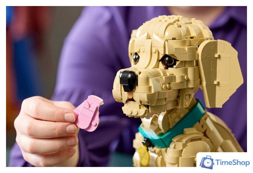 Конструктор LEGO Icons 11384 Щенок золотистого ретривера - Изображение №12 — Интернет-магазин Time-Shop