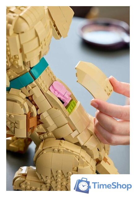 Конструктор LEGO Icons 11384 Щенок золотистого ретривера - Изображение №15 — Интернет-магазин Time-Shop