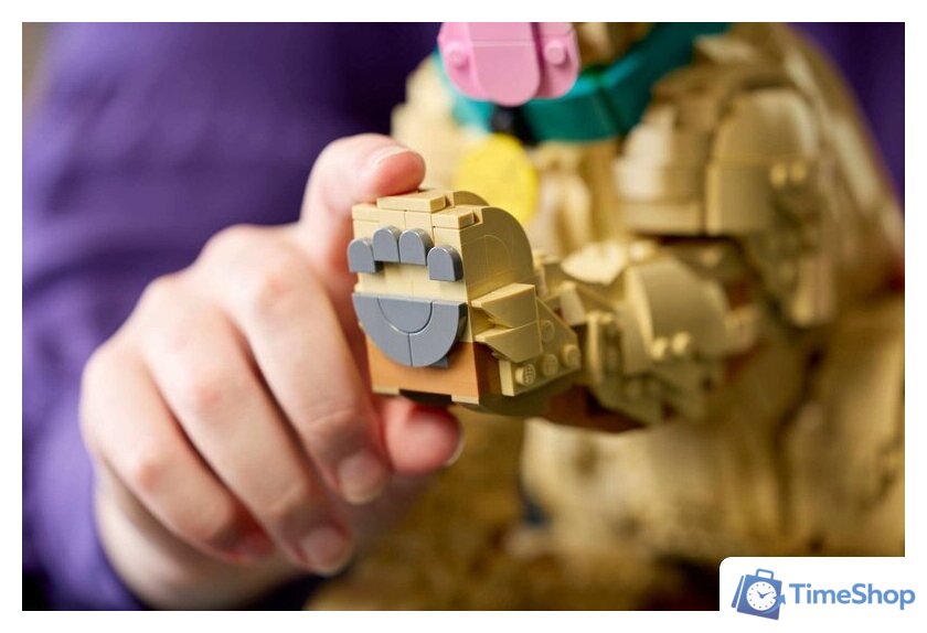 Конструктор LEGO Icons 11384 Щенок золотистого ретривера - Изображение №13 — Интернет-магазин Time-Shop