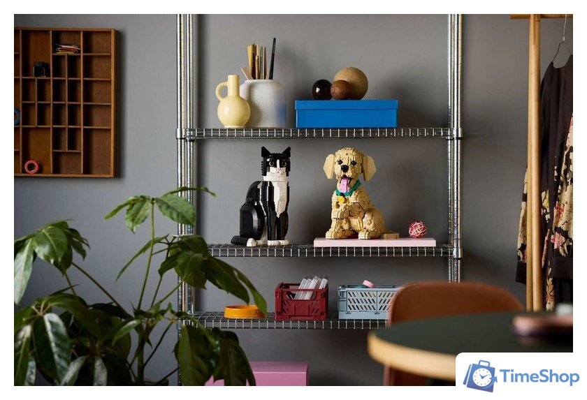 Конструктор LEGO Icons 11384 Щенок золотистого ретривера - Изображение №17 — Интернет-магазин Time-Shop