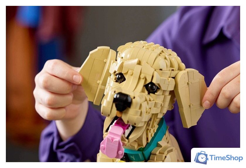 Конструктор LEGO Icons 11384 Щенок золотистого ретривера - Изображение №14 — Интернет-магазин Time-Shop