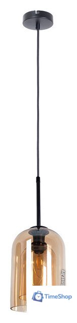 Подвесная люстра Arte Lamp Paio A7015SP-1BK - Изображение №1 — Интернет-магазин Time-Shop