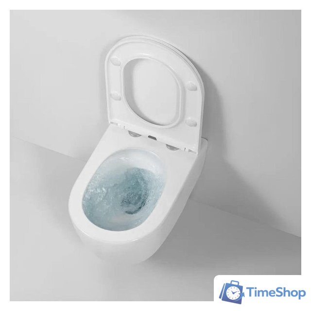 Унитаз подвесной Berges Wasserhaus Tornas Rimless + Atom 410 АТ-043331 (с кнопкой Atom белый) - Изображение №11 — Интернет-магазин Time-Shop