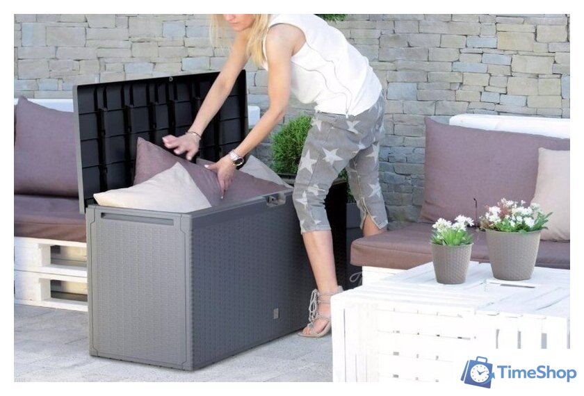 Сундук Prosperplast Boxe Rato Plus MBRP290 S433 (антрацит) - Изображение №2 — Интернет-магазин Time-Shop