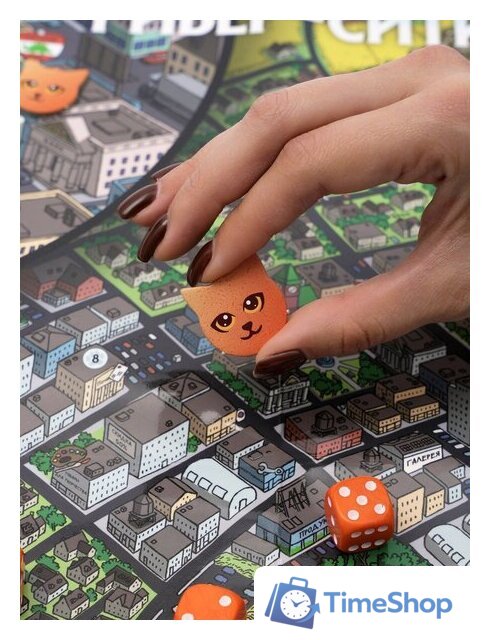 Ролевая игра Pandora's Box Studio Волшебные котята спешат на помощь! 01PB139 - Изображение №3 — Интернет-магазин Time-Shop