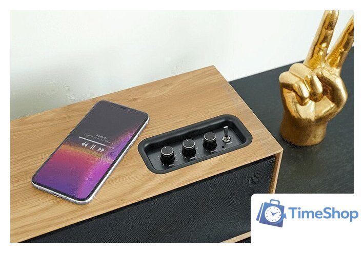 Беспроводная колонка Thomson WS702 - Изображение №7 — Интернет-магазин Time-Shop
