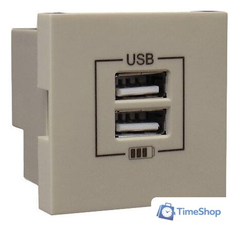 Розетка USB Efapel 45439 SPE - Изображение №1 — Интернет-магазин Time-Shop