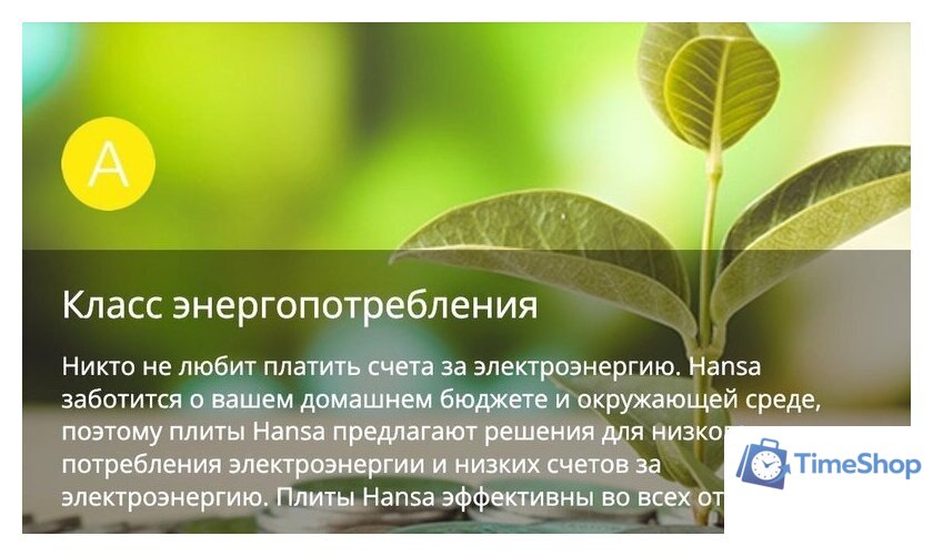 Кухонная плита Hansa FCMX58259 - Изображение №3 — Интернет-магазин Time-Shop