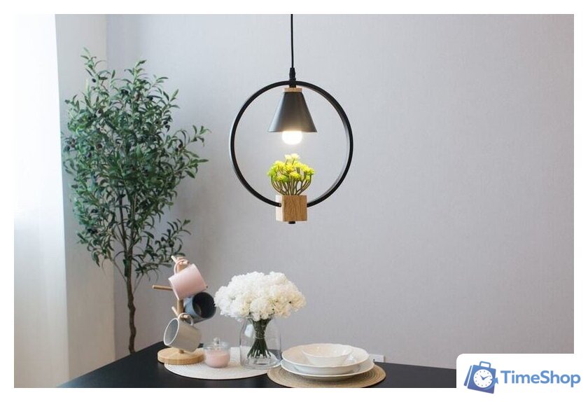 Подвесная люстра Home Light Астерия A042-2-В - Изображение №2 — Интернет-магазин Time-Shop