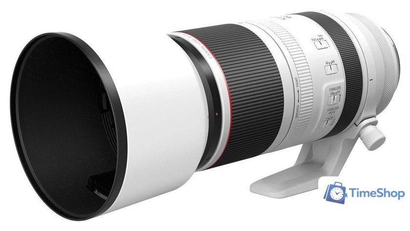Объектив Canon RF 100-500mm f/4.5-7.1 L IS USM - Изображение №6 — Интернет-магазин Time-Shop