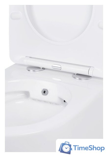 Унитаз подвесной Roxen Antares Bidet в комплекте с инсталляцией StounFix Dual Fresh 6 в 1 968099 (кнопка: брашированное золото) - Изображение №6 — Интернет-магазин Time-Shop