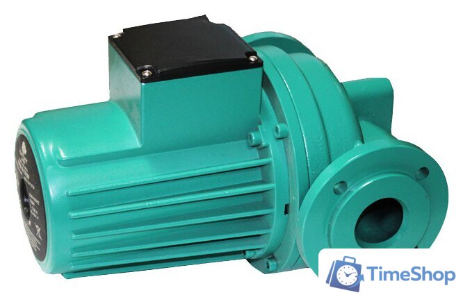 Циркуляционный насос OMNIGENA OMIS 50-170 - Изображение №1 — Интернет-магазин Time-Shop