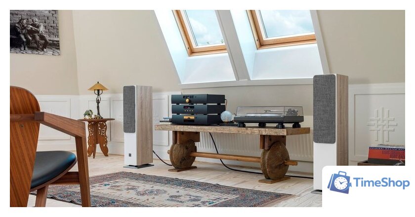 Напольная акустика DALI Oberon 5 Light Oak - Изображение №4 — Интернет-магазин Time-Shop