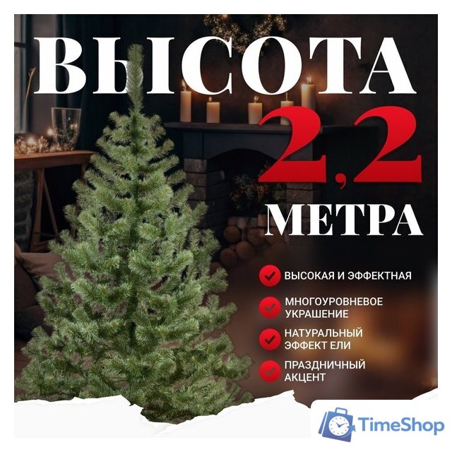 Пихта Erbis Jodla 220 - Изображение №2 — Интернет-магазин Time-Shop