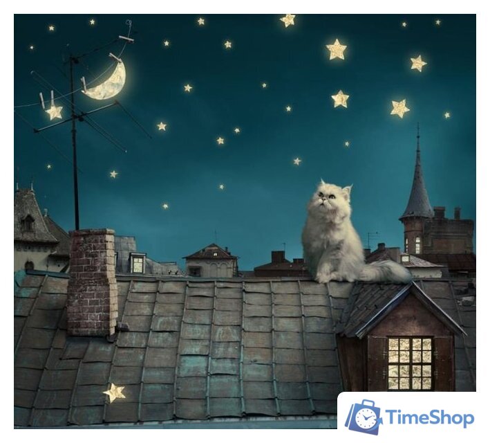 Фотообои ФабрикаФресок Кот на крыше 473270 (300x270) - Изображение №1 — Интернет-магазин Time-Shop