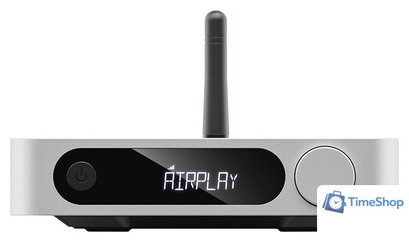 Сетевой ресивер FiiO SR11 (серебристый) - Изображение №1 — Интернет-магазин Time-Shop