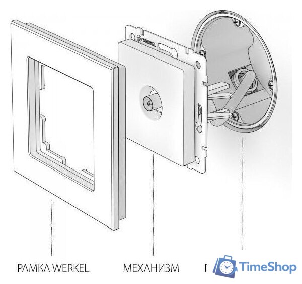 Розетка телевизионная Werkel W1184006 (серебряный) - Изображение №2 — Интернет-магазин Time-Shop