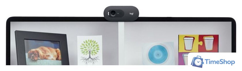 Веб-камера Logitech C505e - Изображение №5 — Интернет-магазин Time-Shop
