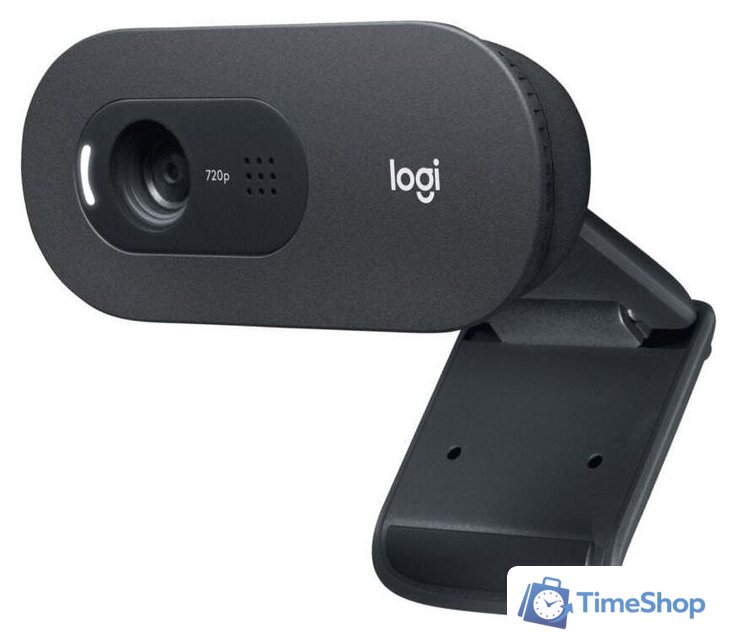 Веб-камера Logitech C505e - Изображение №1 — Интернет-магазин Time-Shop