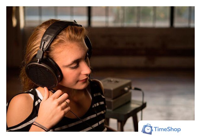 Наушники Audeze LCD-X - Изображение №15 — Интернет-магазин Time-Shop