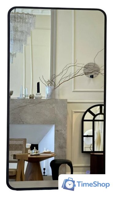 Зеркало с подсветкой  EMZE Smartphone 50x100 LED.UV.SMART.50.100.CHE (черный) - Изображение №1 — Интернет-магазин Time-Shop