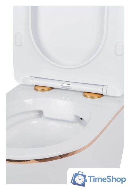 Унитаз подвесной Roxen Antares Gold в комплекте с инсталляцией StounFix Dual Fresh 6 в 1 968092 (кнопка: золото глянцевое ) - Изображение №8 — Интернет-магазин Time-Shop