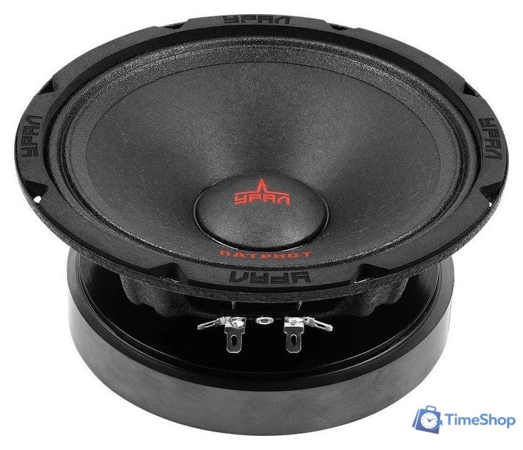 Среднечастотная АС Урал ПАТРИОТ АС-ПТ165.2 - Изображение №1 — Интернет-магазин Time-Shop