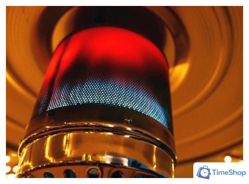 Газовый обогреватель Neoclima 09HW-B (нержавеющая сталь) - Изображение №4 — Интернет-магазин Time-Shop