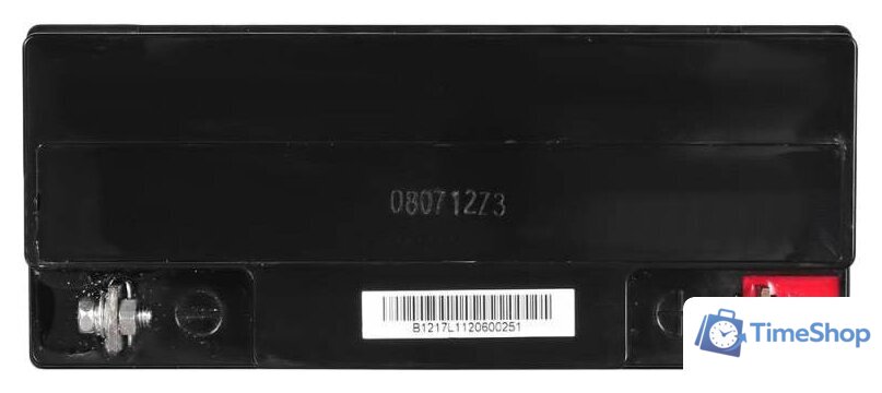 Аккумулятор для ИБП IPPON IP12-17 (12В/17 А·ч) - Изображение №4 — Интернет-магазин Time-Shop