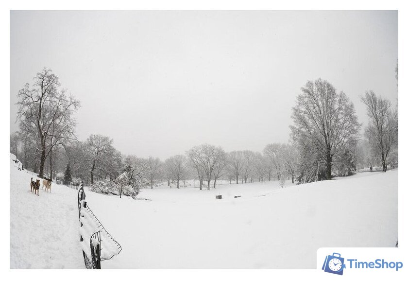 Объектив Sigma 15mm F1.4 DG DN DIAGONAL FISHEYE Art для Sony E - Изображение №10 — Интернет-магазин Time-Shop