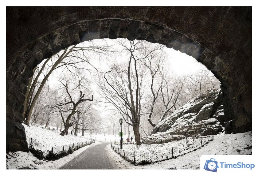 Объектив Sigma 15mm F1.4 DG DN DIAGONAL FISHEYE Art для Sony E - Изображение №11 — Интернет-магазин Time-Shop