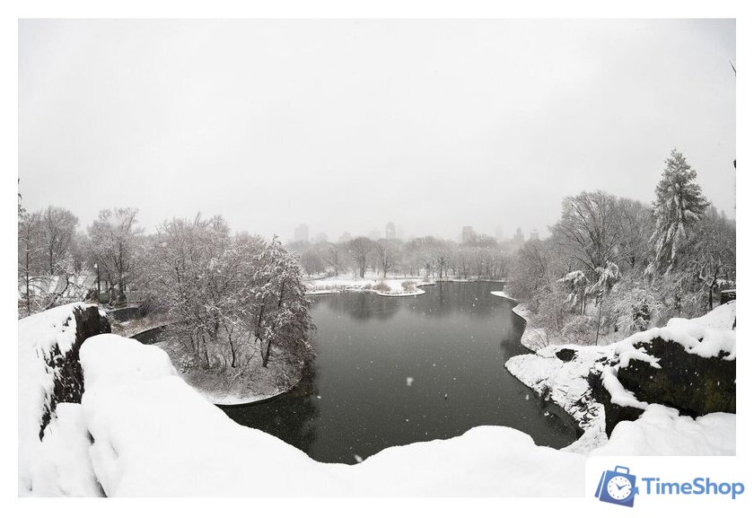 Объектив Sigma 15mm F1.4 DG DN DIAGONAL FISHEYE Art для Sony E - Изображение №12 — Интернет-магазин Time-Shop