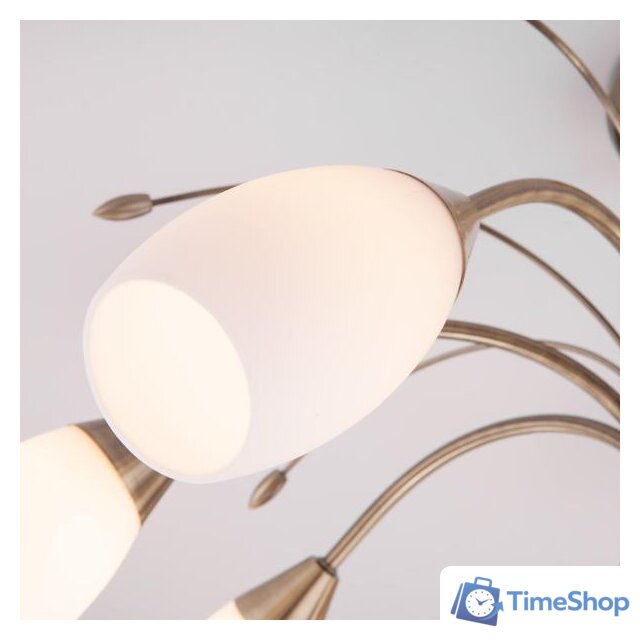 Подвесная люстра Евросвет Ginevra 30280/8 (античная бронза) - Изображение №3 — Интернет-магазин Time-Shop