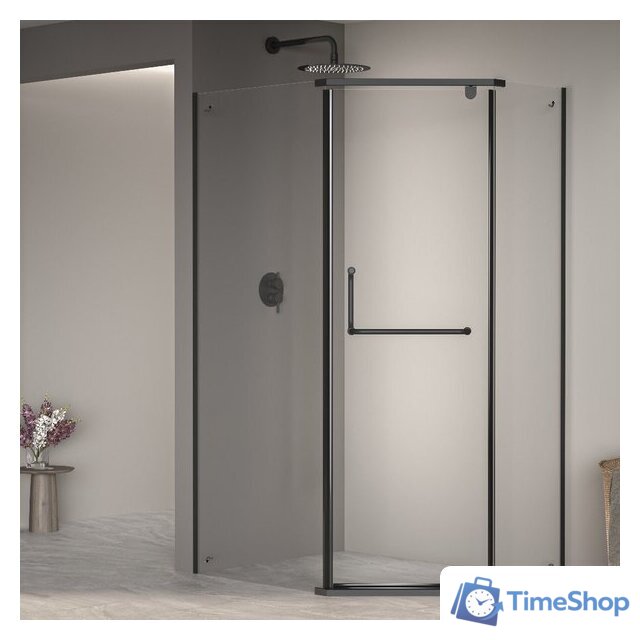 Душевой уголок RGW PA-091B 35089180-14 80x100 (черный/прозрачное стекло) - Изображение №1 — Интернет-магазин Time-Shop