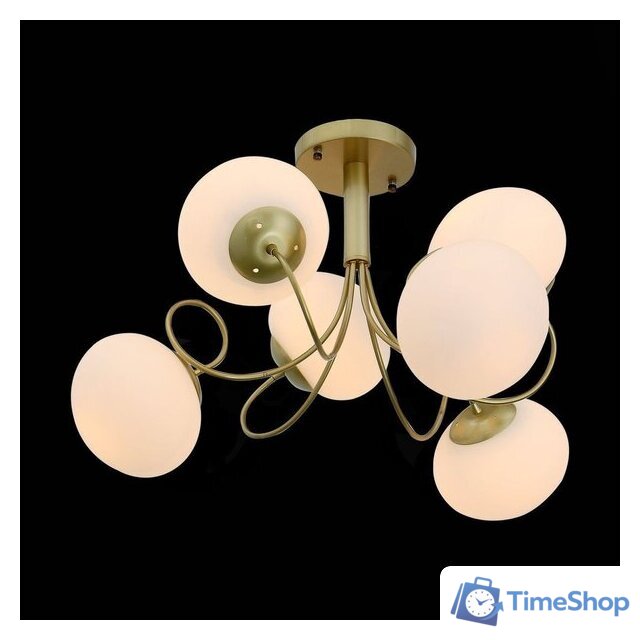 Люстра средней высоты Evoluce SL717.202.06 - Изображение №3 — Интернет-магазин Time-Shop