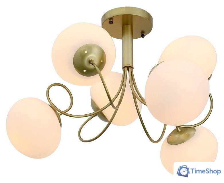 Люстра средней высоты Evoluce SL717.202.06 - Изображение №1 — Интернет-магазин Time-Shop