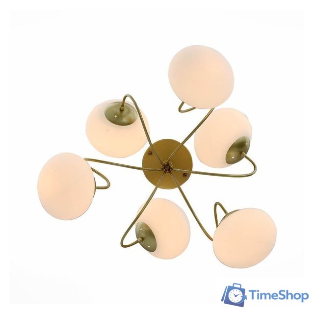 Люстра средней высоты Evoluce SL717.202.06 - Изображение №2 — Интернет-магазин Time-Shop