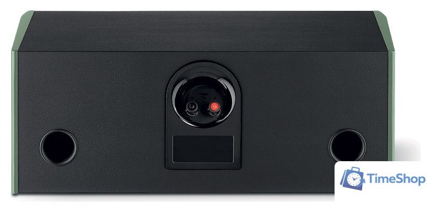Полочная акустика Focal Aria Evo X Center (черный/зеленый) - Изображение №3 — Интернет-магазин Time-Shop