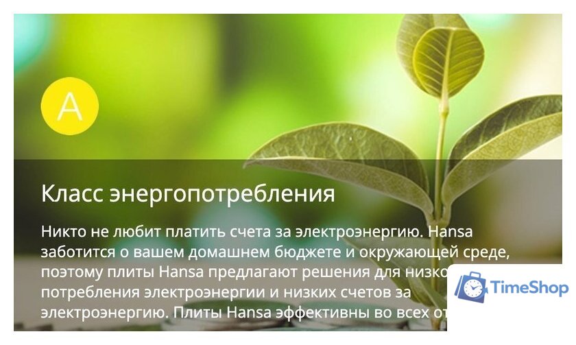 Кухонная плита Hansa FCMW580957 - Изображение №18 — Интернет-магазин Time-Shop