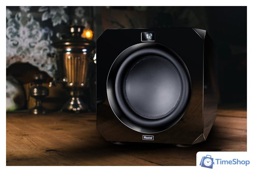 Проводной сабвуфер Magnat Omega CS 12 - Изображение №11 — Интернет-магазин Time-Shop