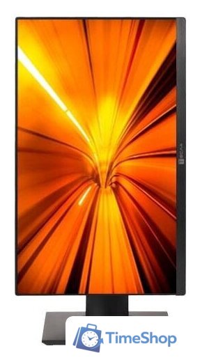 Моноблок ТЕСЛА P24BP 2116500 - Изображение №6 — Интернет-магазин Time-Shop