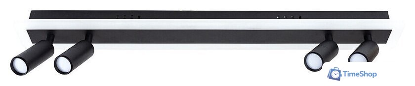 Спот Arte Lamp Tommy A2607PL-30BK - Изображение №1 — Интернет-магазин Time-Shop