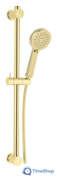 Душевой гарнитур  Ferro Rillo N365G - Изображение №1 — Интернет-магазин Time-Shop