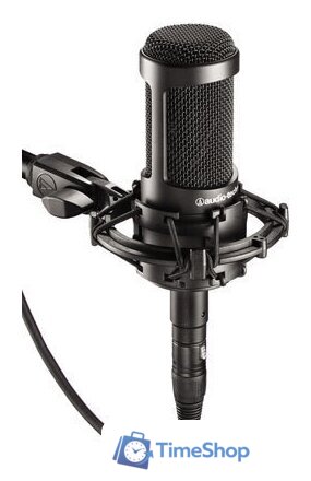 Проводной микрофон Audio-Technica AT2035 - Изображение №1 — Интернет-магазин Time-Shop