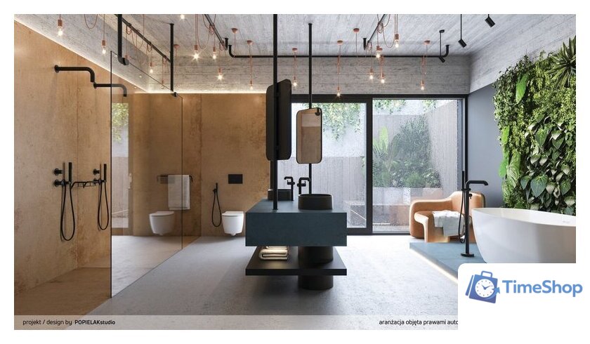 Смеситель Deante Silia BQS_N17M - Изображение №2 — Интернет-магазин Time-Shop